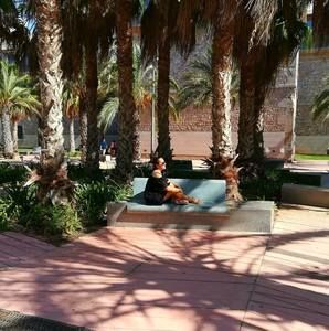 Meet your Posher, Martina